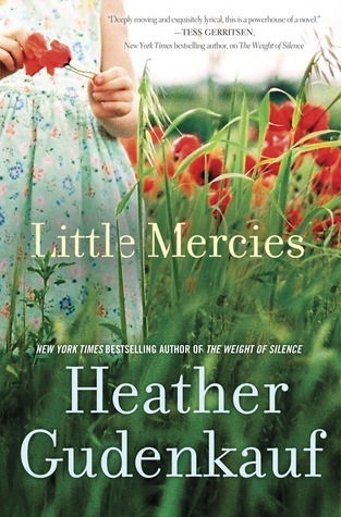 Little Mercies by Heather Gudenkauf PDF Free Download